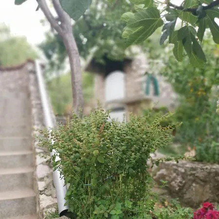 Apartment Kike Sibenik